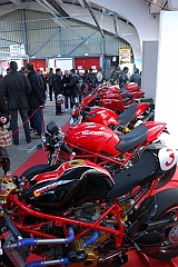 Puce_Niort_2009_050 [800x600]